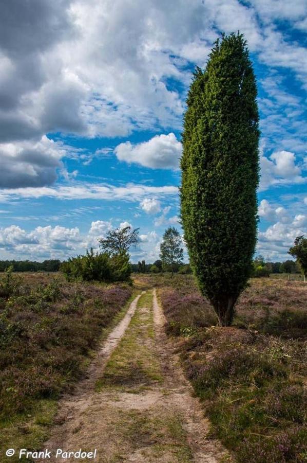 Aa Casia Vakantiehuis Зегсе Экстерьер фото